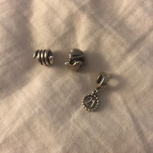 Pandora charms